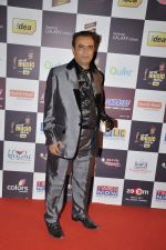 at Radio Mirchi music awards red carpet in Mumbai on 7th Feb 2013 (97).JPG